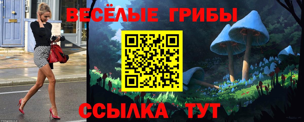 Саяногорск  Псилоцибиновые грибы GOLDEN TEACHER  Вход с VPN 